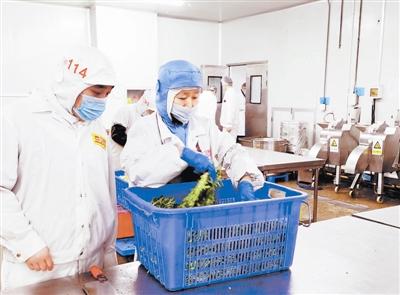 天津確保校園食品安全 監(jiān)管先行，教育軟件賦能