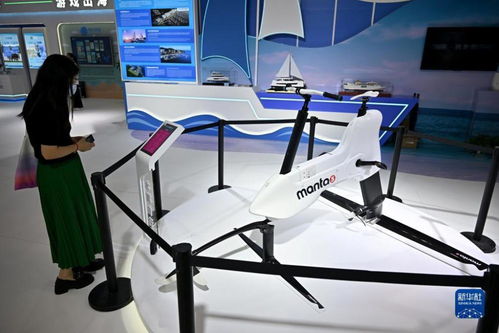 國(guó)產(chǎn)科技產(chǎn)品亮相消博會(huì)，北京軟件技術(shù)服務(wù)展創(chuàng)新實(shí)力